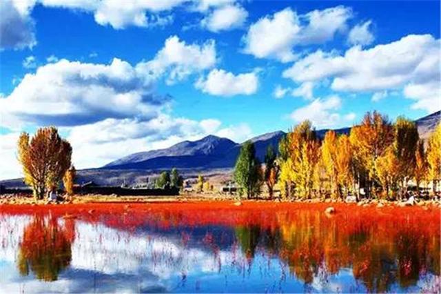 雙凱智能：說走就走旅行？有TA更輕松